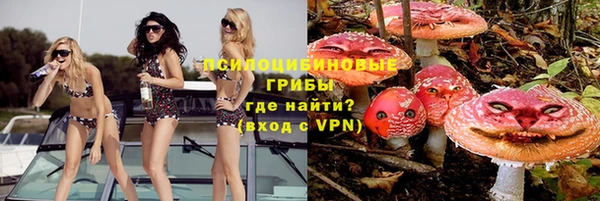 прущая мука Верея