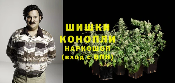МДМА Бородино